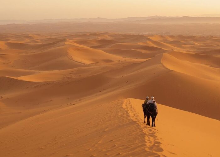 3 days desert tour from fes to marrakech