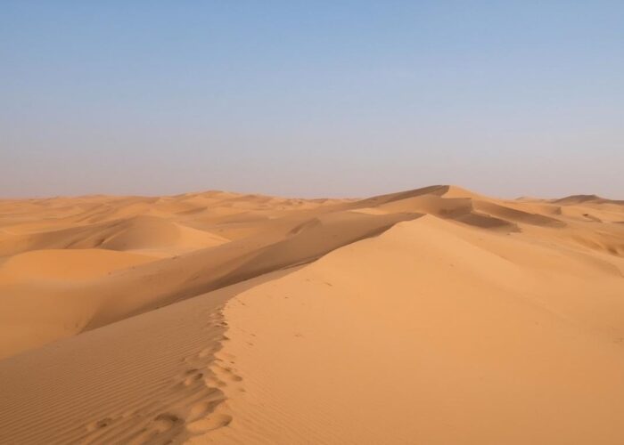 4 days 3 nights desert tour from marrakech to fez