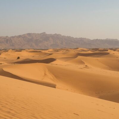 marrakech to fes desert trip